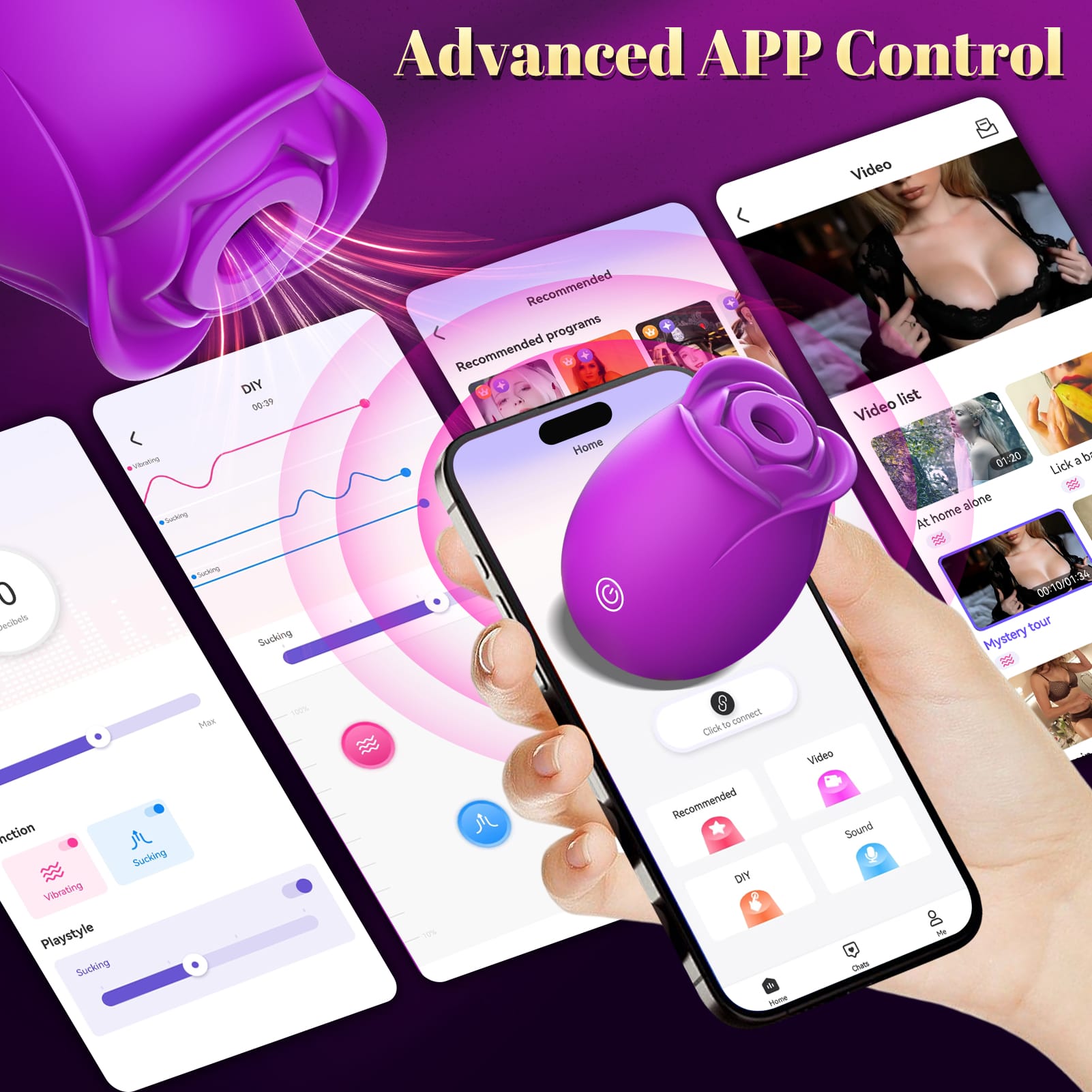 向阳花一代-紫色-新APP